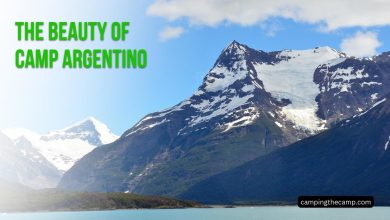 The Beauty of Camp Argentino