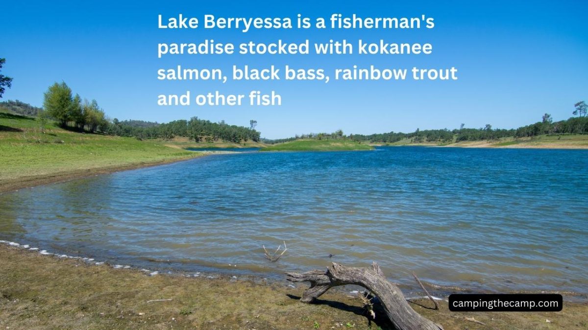 Discover The Best Lake Berryessa Camping Experience 