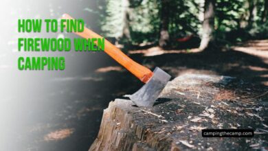 How to Find Firewood When Camping