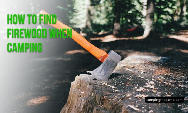 How to Find Firewood When Camping