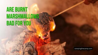 Are Burnt Marshmallows Bad for You