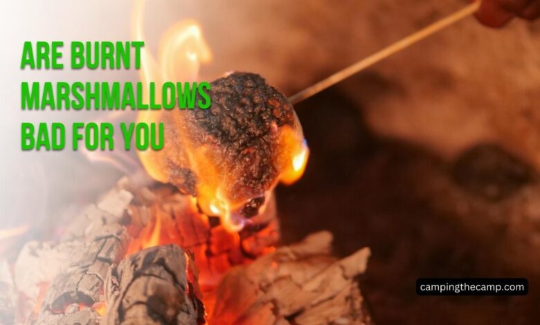 Are Burnt Marshmallows Bad for You