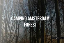 Camping Amsterdam Forest