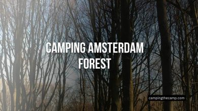 Camping Amsterdam Forest